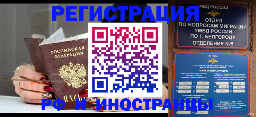 прописка в Ельне