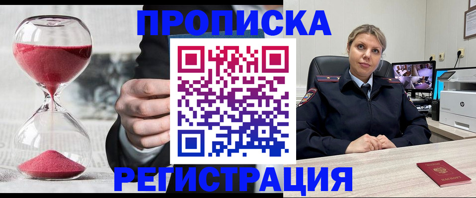 прописка поиск в Ельне